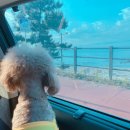 무주하우스 이미지