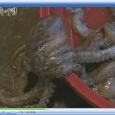 회진시장 이미지