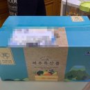테이스티아일랜드 | [테이스티 아일랜드] 제주 청귤 3Kg 후기