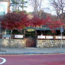 성남초등학교 정문 앞 이미지