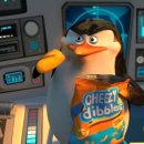 버팔로바베큐 이미지