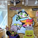홍대 소품샵 상상마당 퍼글러 팝업 스토어 후기 종류 가격