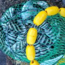 약산면-3 이미지