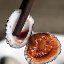 [북부] 단전호흡B | 꼬막의 생태