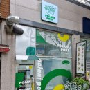 폴라니포케 정관점 이미지