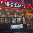 제주꽃돼지 티스토리