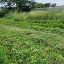 (주)자연농 이미지