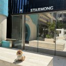 강남언니애견미용호텔 이미지