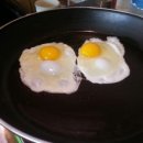 갈비둥지 이미지