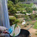 놀마루29 이미지