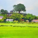 여름이야기 이미지