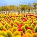 황산공원 캠핑장 3번 이미지