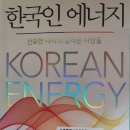 한국인 에너지 - 홍대순 지음 *** 이미지