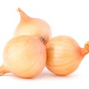 웰빙건강원 이미지