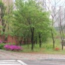 현대4차1단지 이미지