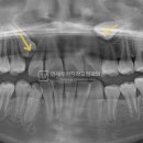 연세루아치과교정과의원 이미지