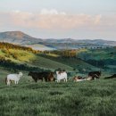 소중목장 이미지