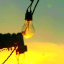 토황민박 이미지