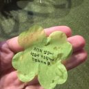 같이걸을까 | 260502 원필 솔로콘서트 <Unpiltered> 중콘 후기