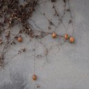 남창정류소 이미지