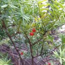 더샵드림공인중개사사무소 이미지