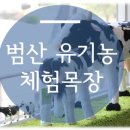 하대리목장 이미지