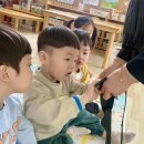 어린이교통 안전교육 시간 -! &#39;하랑&amp;찬솔&#39; 이미지