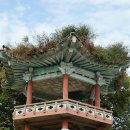 진상마을회관 이미지