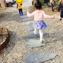 다애어린이집 이미지