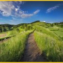 내가 찾던 그집 이미지