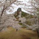 풍호공원(천자봉테니스장) | 일주일만에 다시 찾은 시루봉 (풍호초등학교 ~ 바람재 ~ 시루봉 ~ 바람재 ~ 풍호초등학교)