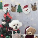 둥글리다 | 마음 가는대로