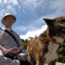 아미스테이 이미지