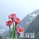 토요일 이미지