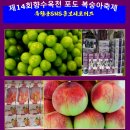 옥천생활체육관 이미지