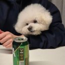 덕소로176 이미지