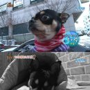 야망농장 이미지