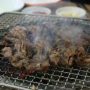 갈매기나라 - 강서구 곰달래로 140 | 갈매기나라