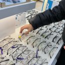 동양월드타워 | 안양안경점 다비치안경 안양비산점에서 꼼꼼한 범계안경 후기