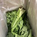 길영농장 이미지