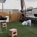 봉암동295 이미지