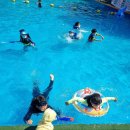 부형농장 | 3. 마지막날까지 빡시게 놀았던 밀양매화관광농원 캠핑장, 사소한 팁포함 솔직 후기[2021.06.18~6.20방문]