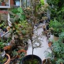 화백농장 이미지