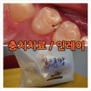 블루덴치과의원 이미지