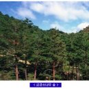 정겨운 마을 이미지