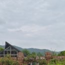 에덴목장 | 이천 갈만한 곳 ㅣ 초록초록 정원이 예쁜 홍차 전문점, 티하우스 에덴 솔직 후기