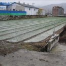 안의농협주유소 이미지