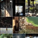 거멍곶낭 이미지