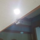 서울 **초등학교 NEC NP-PA803U 빔프로젝터 설치후기입니다.