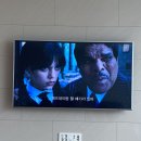 장가네국시 | 마지막 주간일기